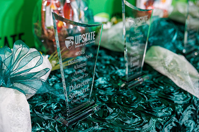 a close up of a group of trophies