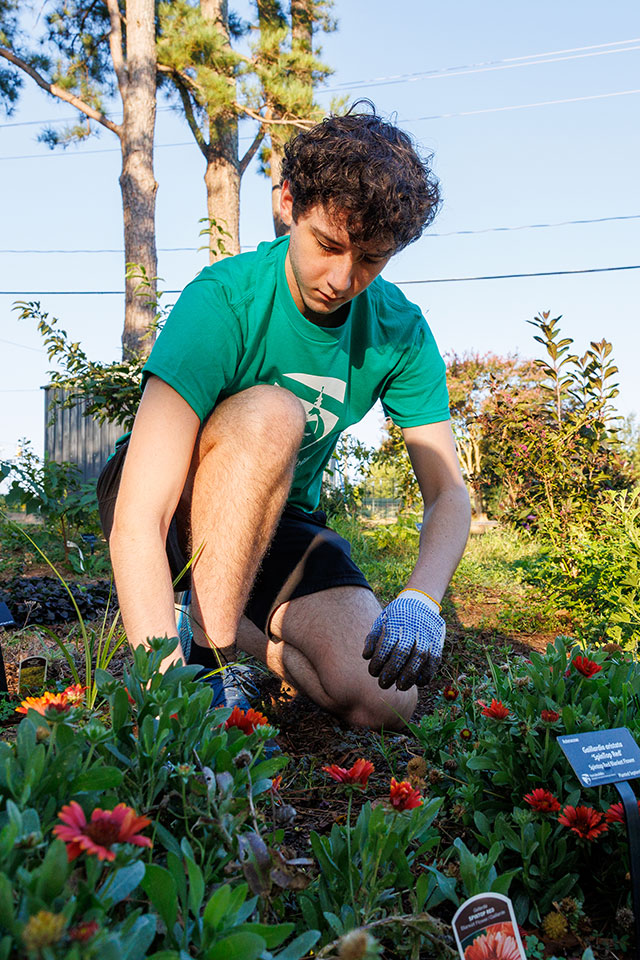 A person in a garden