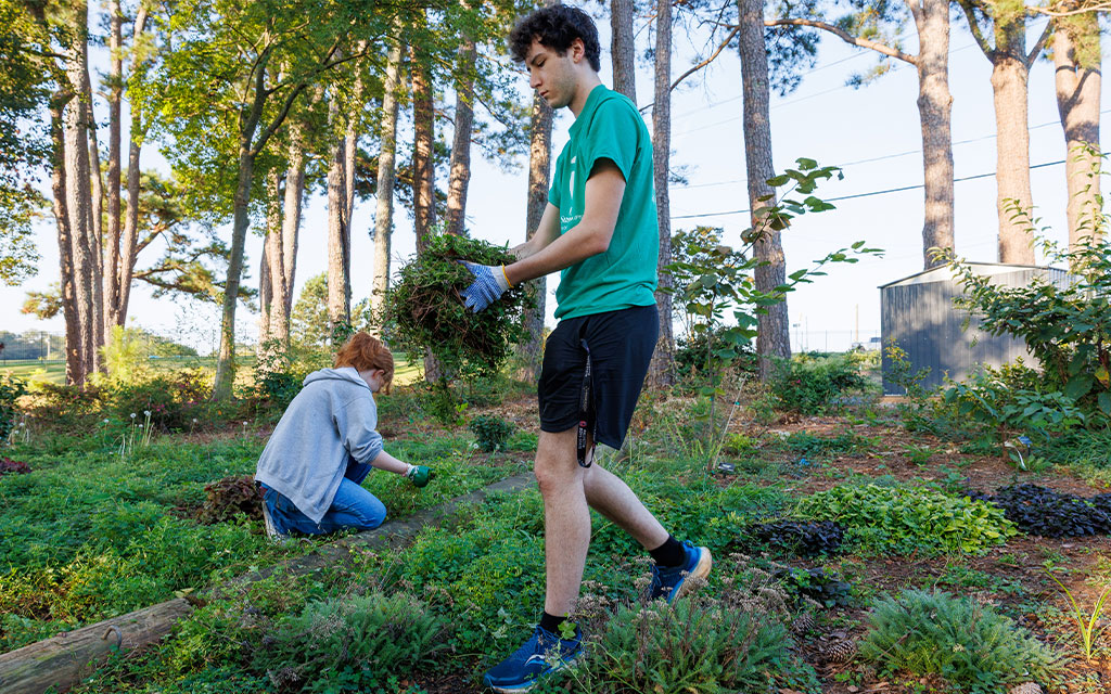 students work in a garden